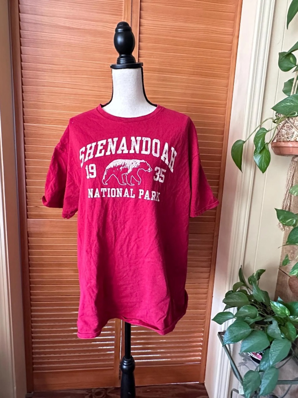 Vintage Shenandoah National Park T-Shirt: Soft Worn Brown Bear Souvenir